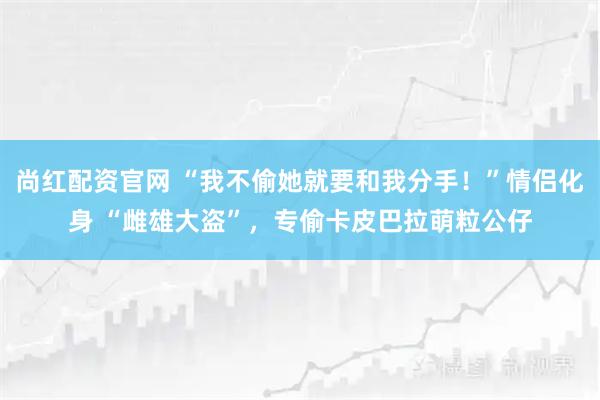 尚红配资官网 “我不偷她就要和我分手！”情侣化身 “雌雄大盗”，专偷卡皮巴拉萌粒公仔
